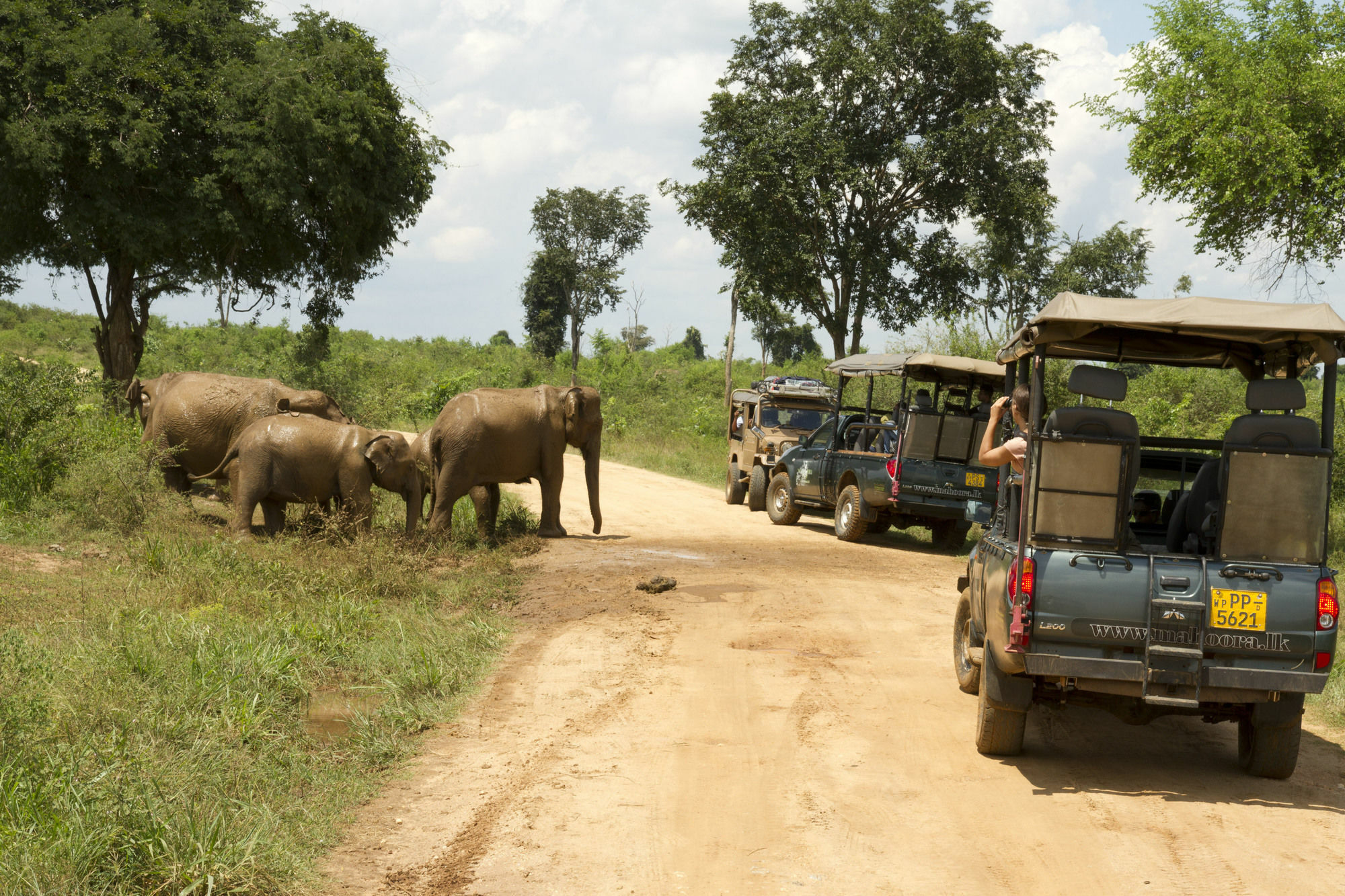 Mahoora Tented Safari Camp Udawalawe Hotel Exterior photo